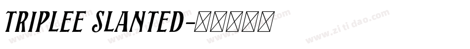 Triplee Slanted字体转换